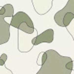 Meet your Posher, Isabella